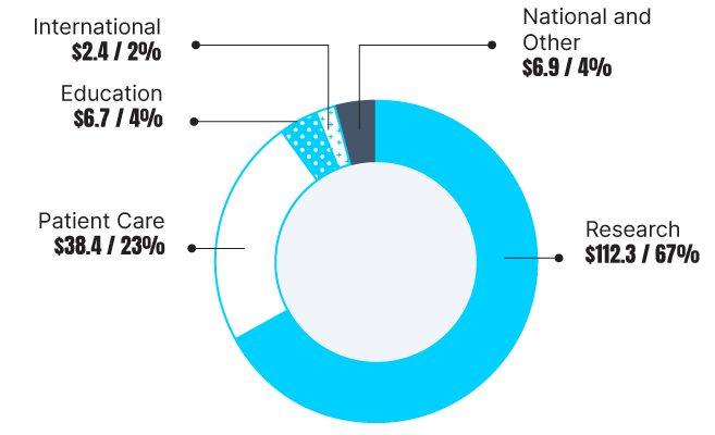 This is an image of Foundation Investments in Child Health Chart.