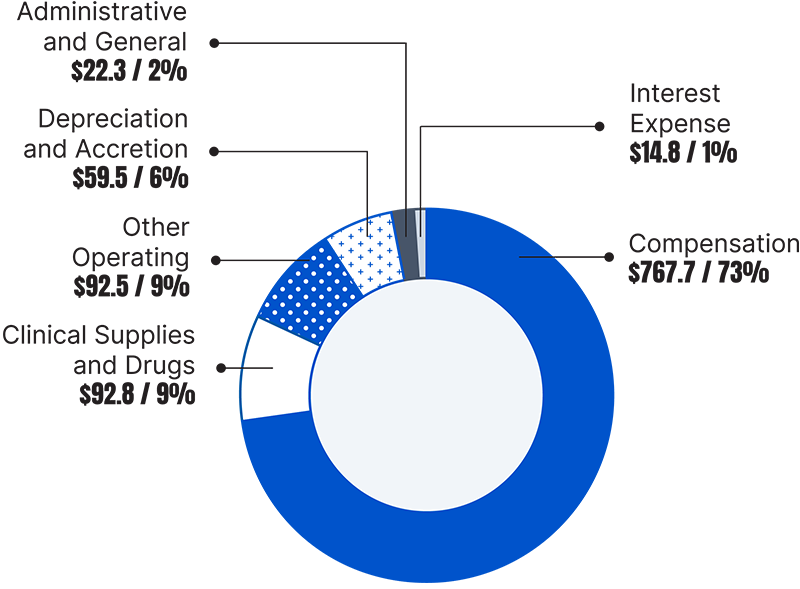 This is a chart of the Hospital Patient Care Expenses