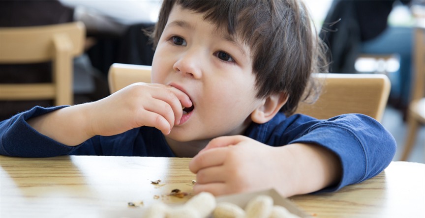 A young boy eats a peanut from the shell
