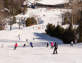 A snowy ski hill surrounded by evergreen trees, with skiers and snowboarders on it 